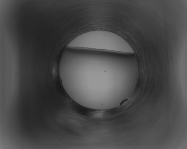 X0000100960090200806241152