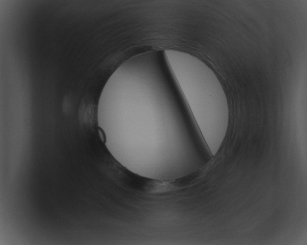 X0000100960093200806241152