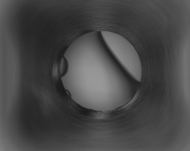 X0000100960094200806241152