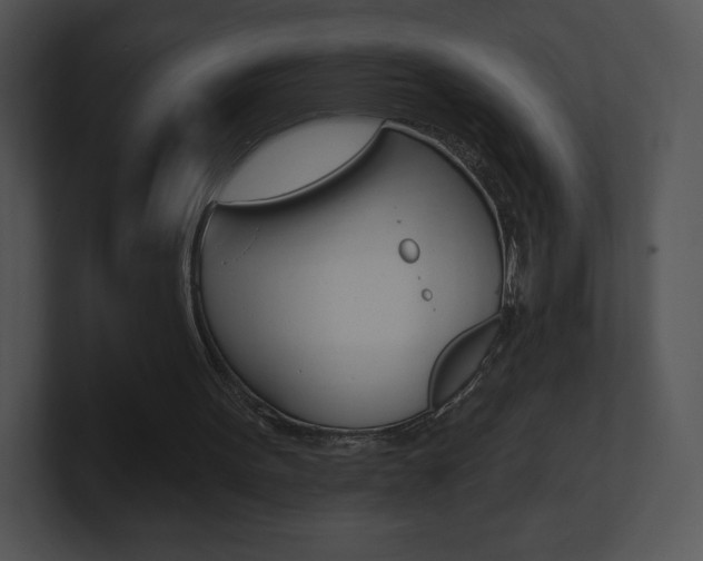 X0000100960099200806241151