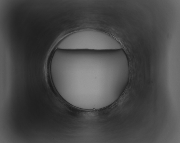X0000100960102200806241151