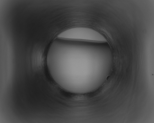 X0000100960123200806241151