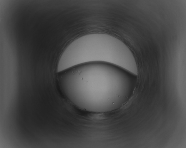 X0000100960132200806241151