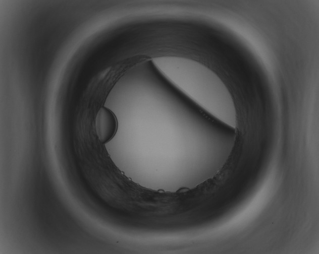 X0000100960143200806241151