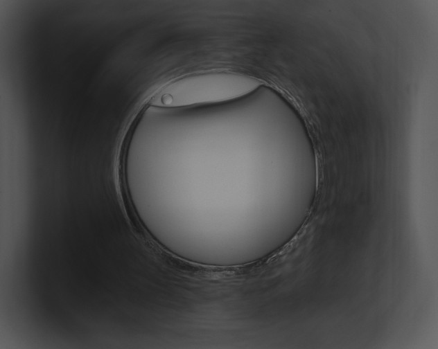 X0000100960147200806241150