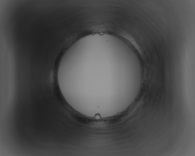 X0000100960161200806241150