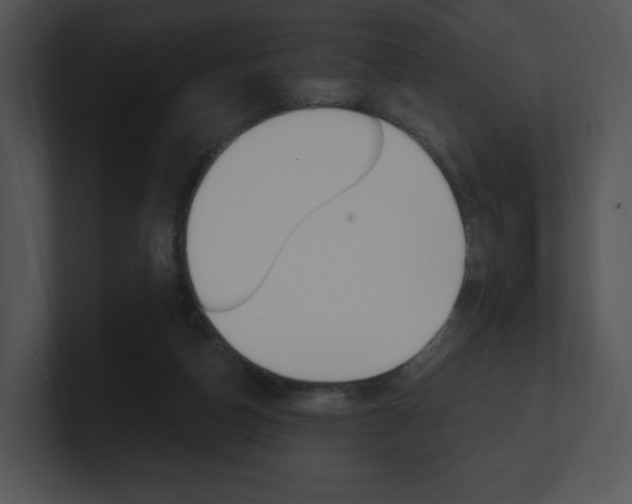 X0000100960162200806241150
