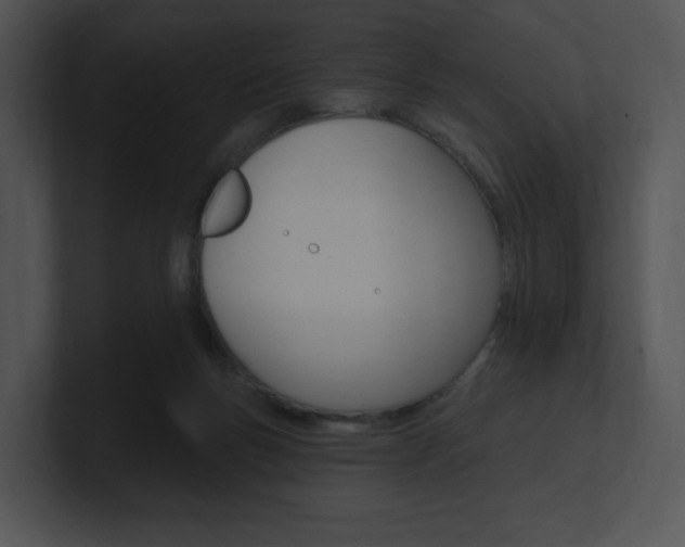 X0000100960167200806241150