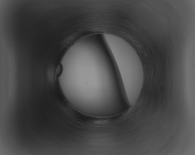 X0000100960168200806241150