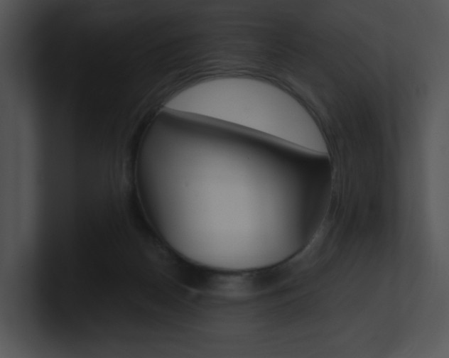 X0000100960170200806241150