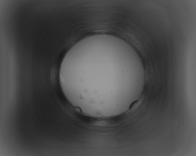 X0000100960171200806241150