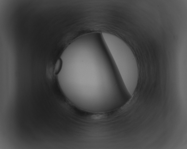 X0000100960172200806241150
