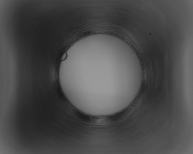 X0000100960173200806241150