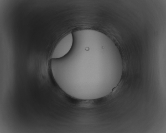 X0000100960179200806241151