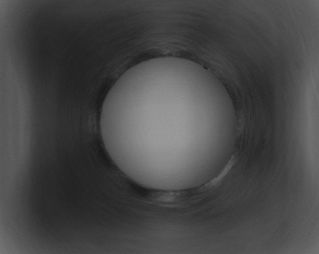 X0000100960182200806241151