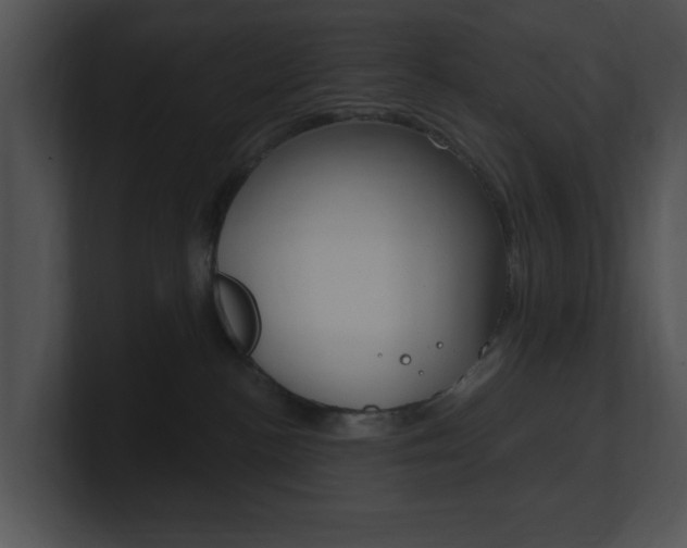 X0000100960188200806241151