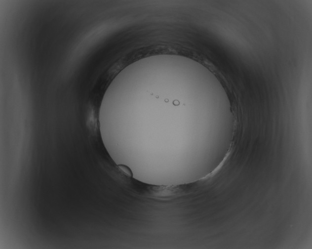 X0000100960191200806241151
