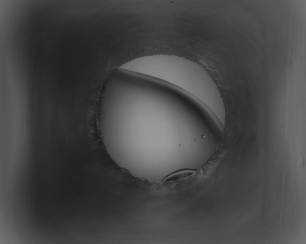 X0000100960192200806241151