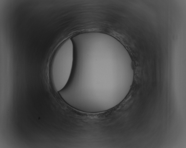 X0000100960194200806241150