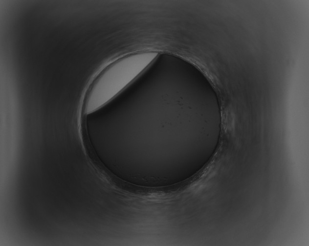 X0000100960196200806241150