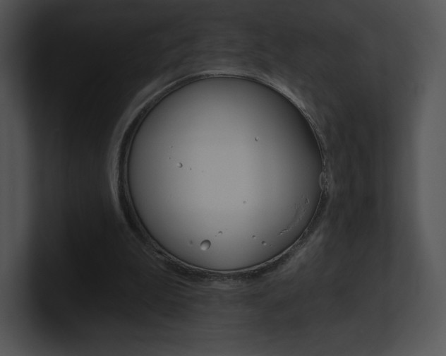 X0000100960199200806241150