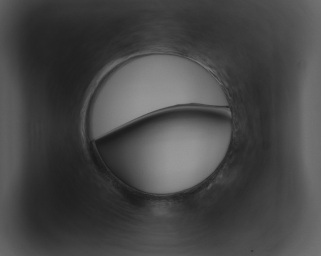 X0000100960200200806241150