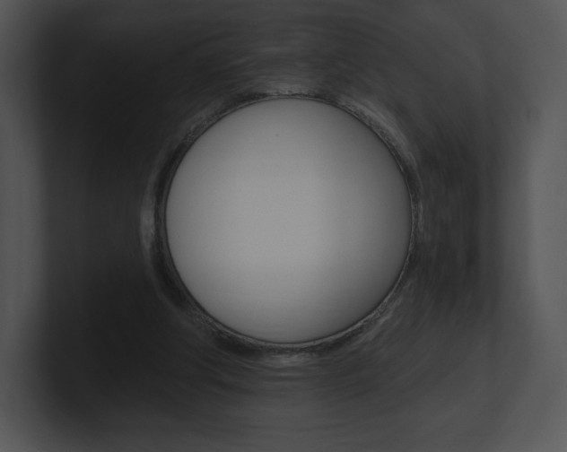 X0000100960202200806241150