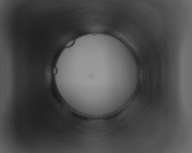X0000100960206200806241150