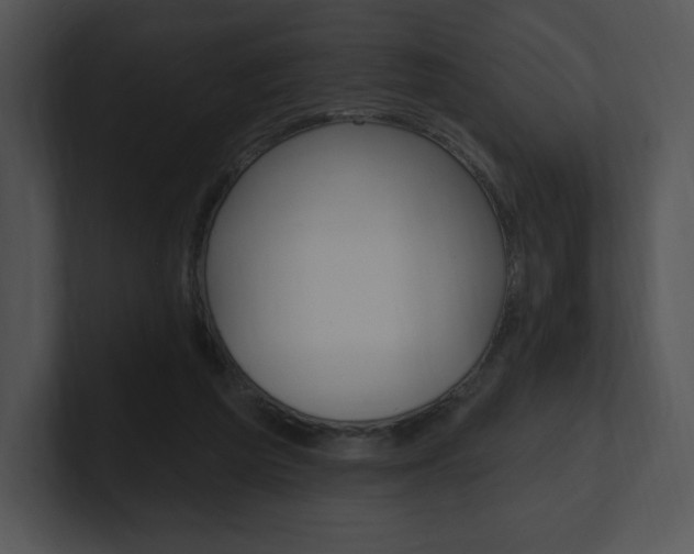 X0000100960209200806241150