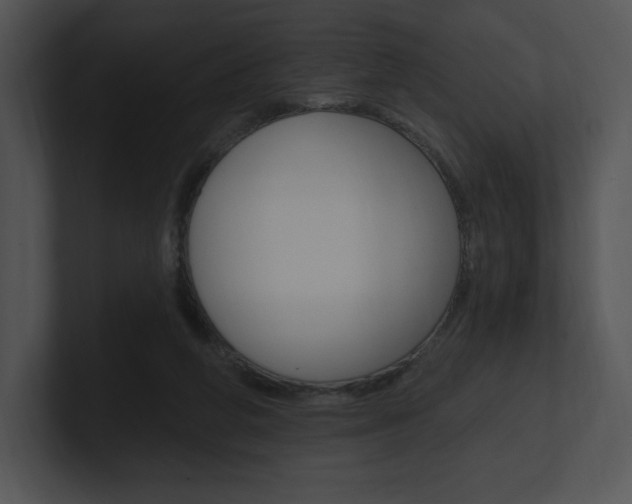 X0000100960210200806241150
