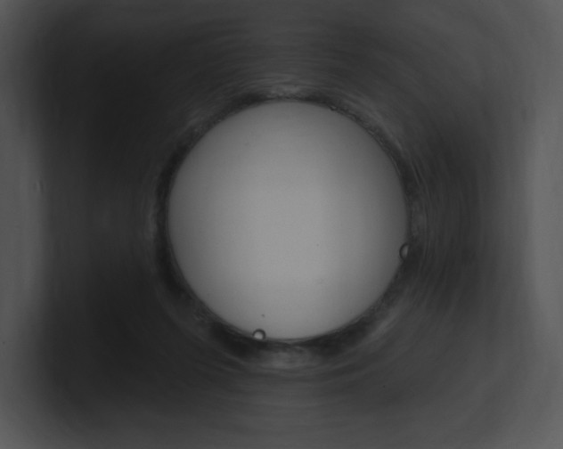 X0000100960215200806241150