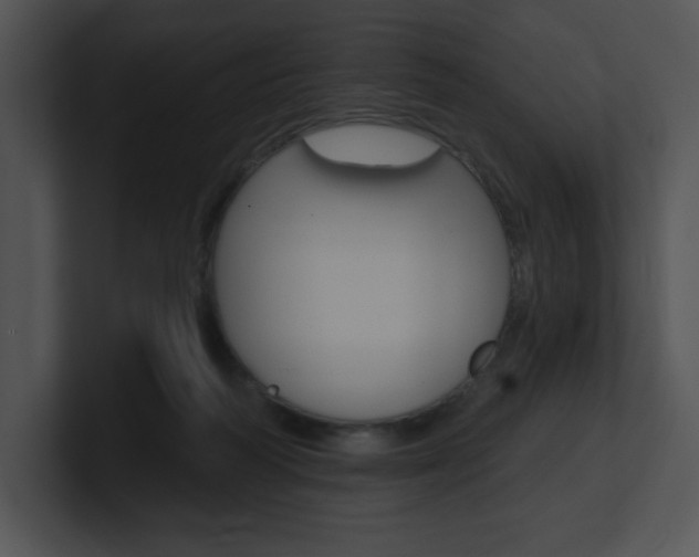 X0000100960218200806241150
