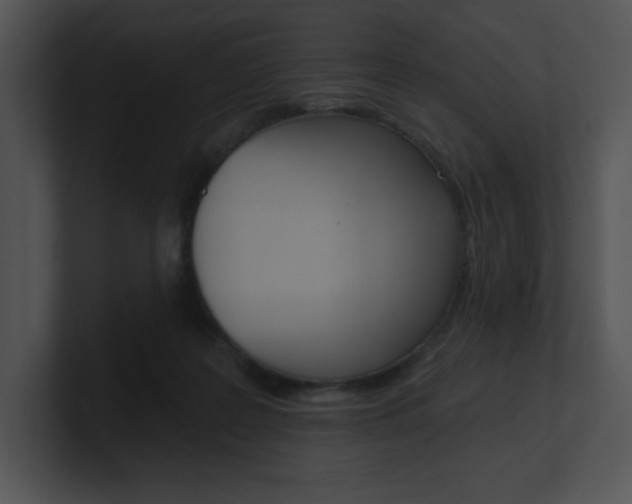 X0000100960219200806241150
