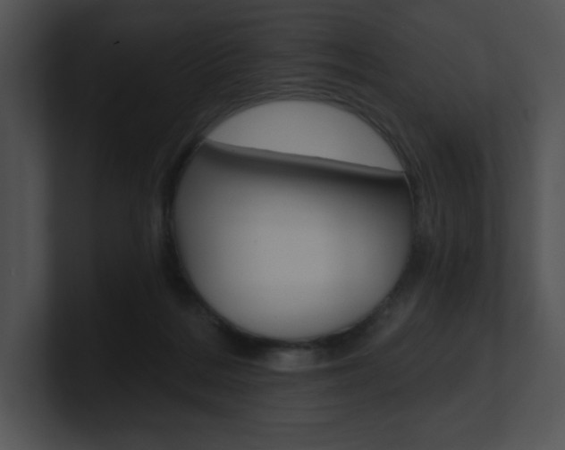 X0000100960220200806241150