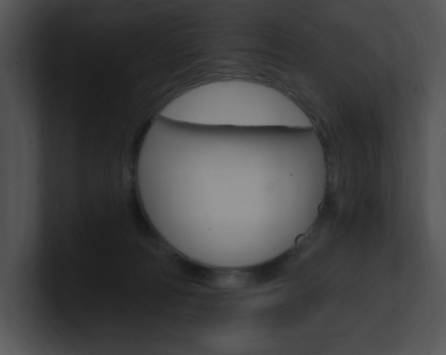 X0000100960226200806241150