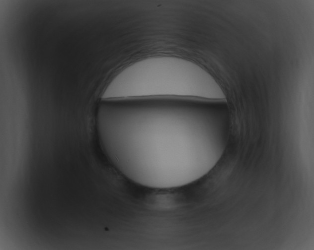 X0000100960228200806241150