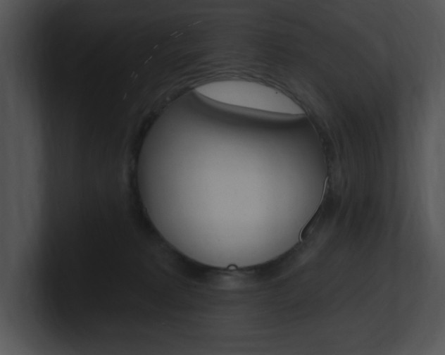 X0000100960229200806241150