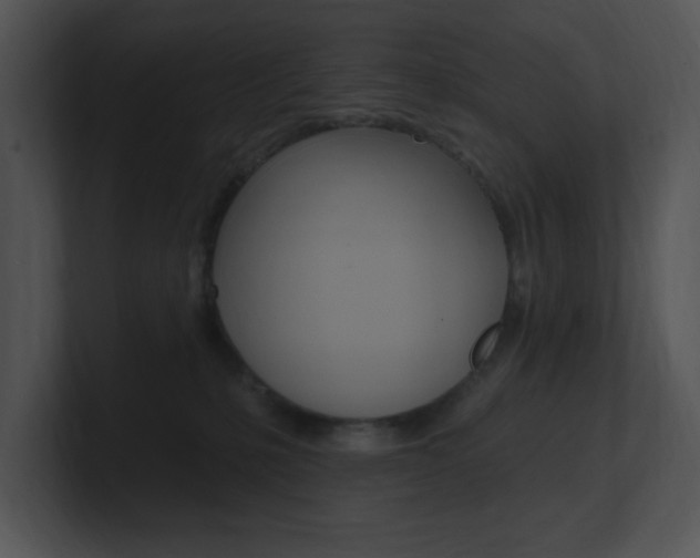 X0000100960231200806241150