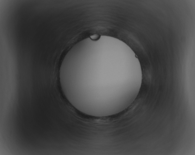 X0000100960232200806241150