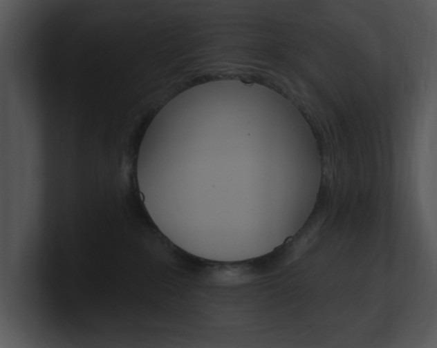 X0000100960235200806241150