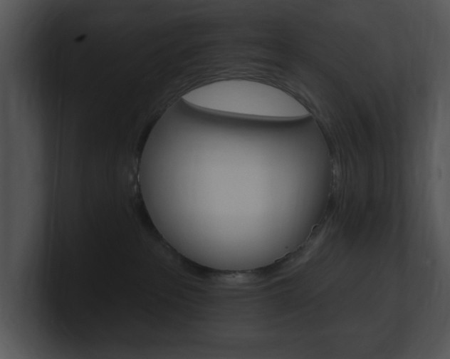 X0000100960237200806241150