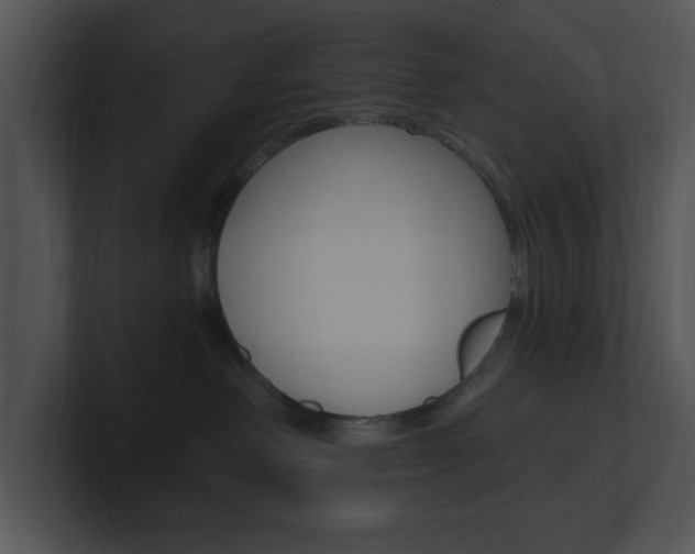 X0000100960238200806241150