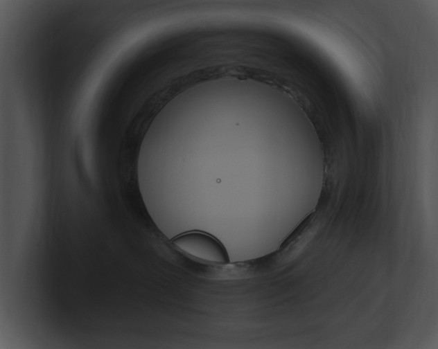 X0000100960239200806241150