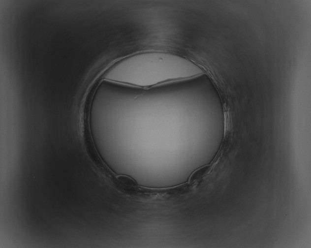 X0000100960243200806241149