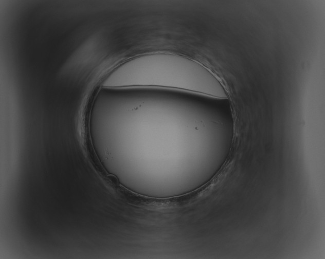 X0000100960245200806241149