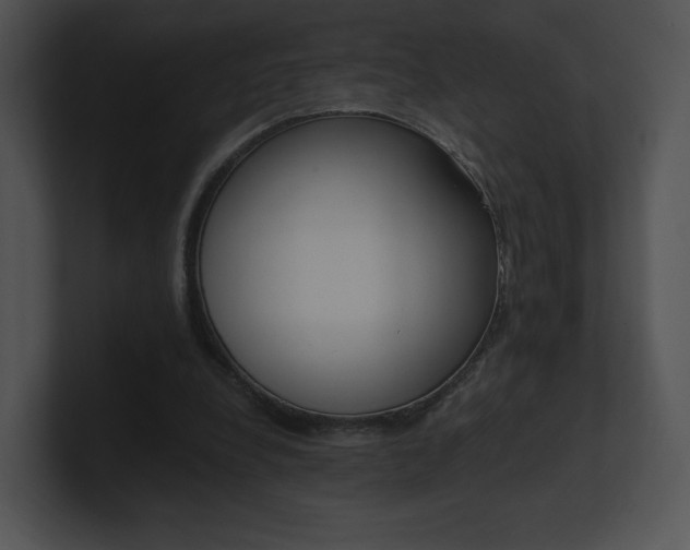X0000100960248200806241149