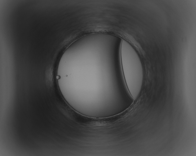 X0000100960250200806241149