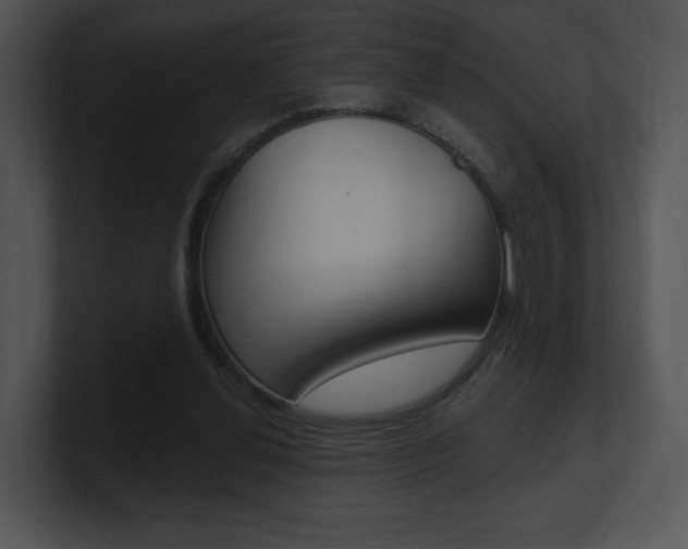 X0000100960252200806241149