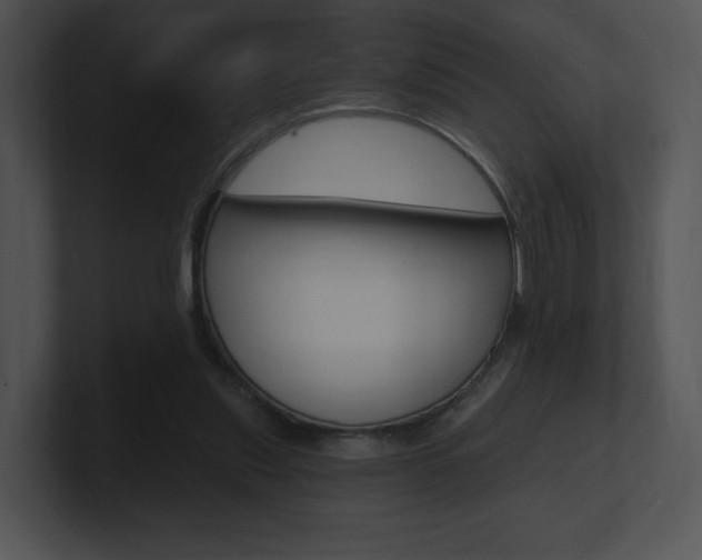 X0000100960253200806241149