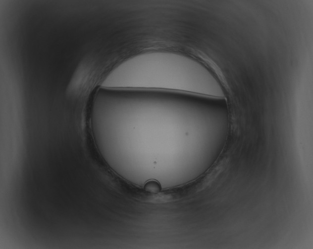 X0000100960257200806241149